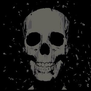 Meet your Posher, Riley